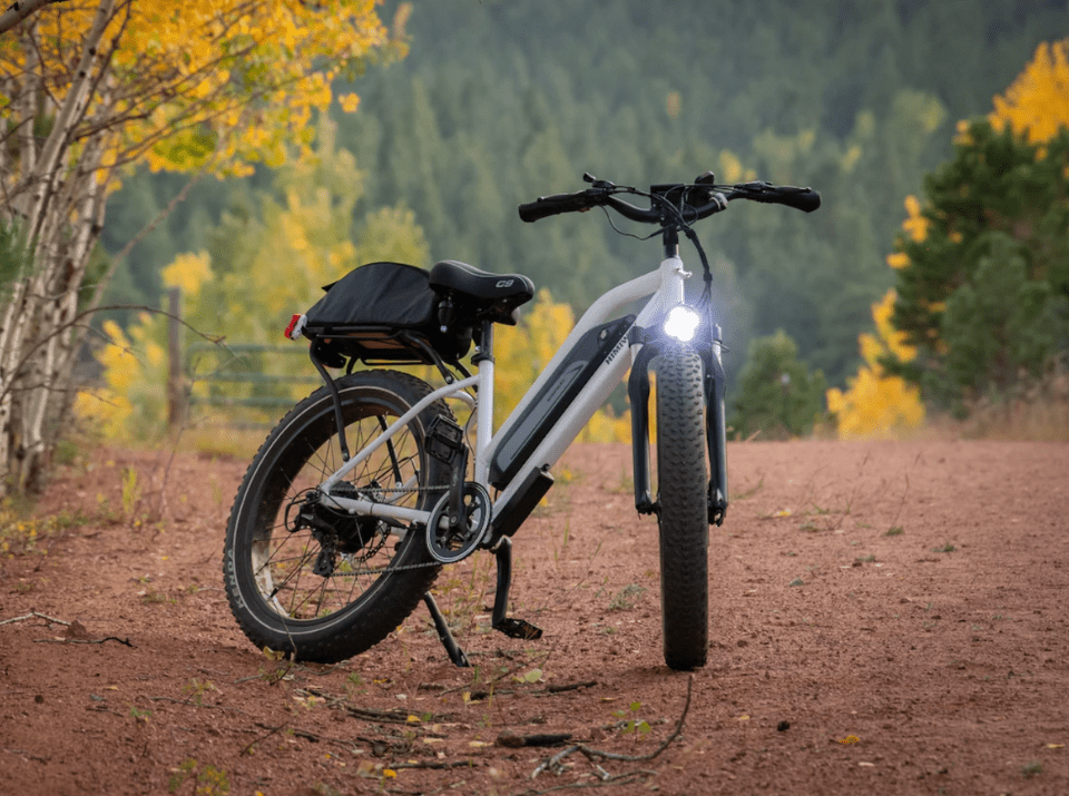 E-bikes: The Most Fun You’ll Have Saving the Planet